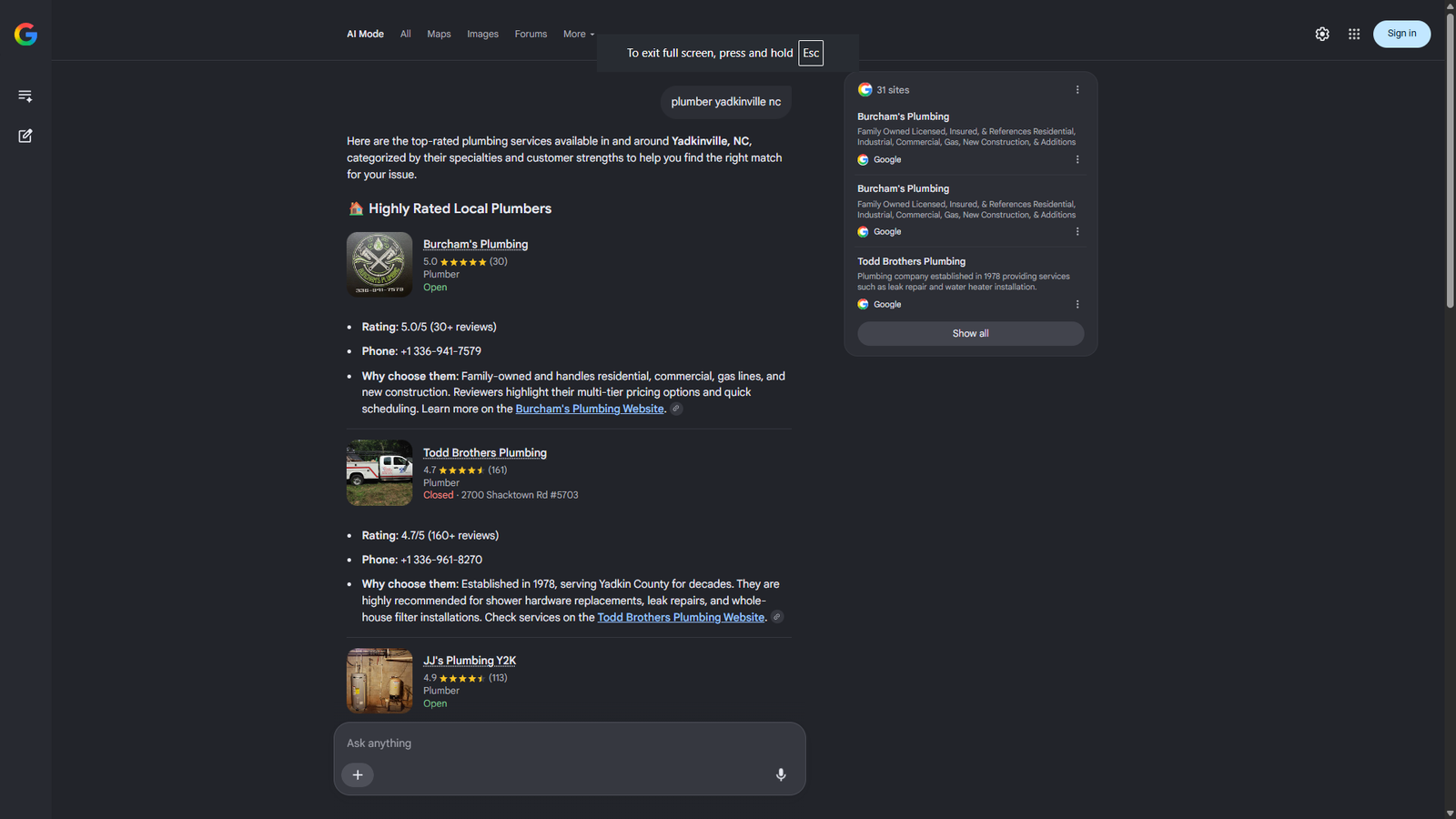 AI Overview search proof